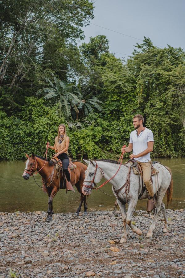 Playa Santa Teresa  Bohemia Experienceヴィラ エクステリア 写真